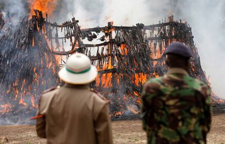 In Kenya il maxi-rogo di armi per fermare il traffico illecito 1