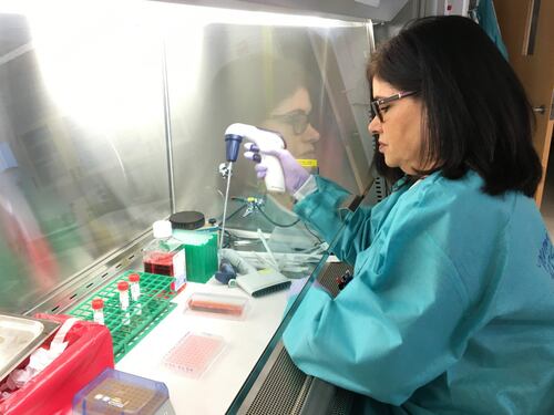 Coronavirus, l'infettivologo Galli: "Nessuna prova su un calo dei contagi in primavera"