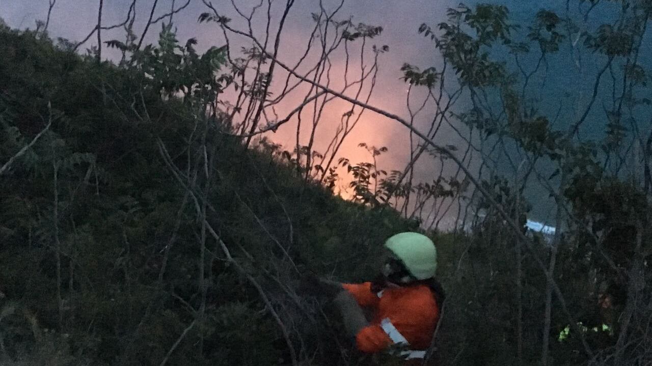 Migranti danno fuoco ai boschi per aprirsi un varco in Francia