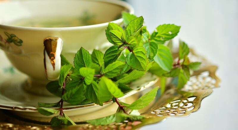Menta proprietà