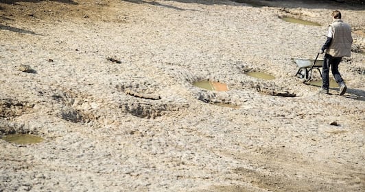 Germania, scoperte impronte giganti di dinosauro 7
