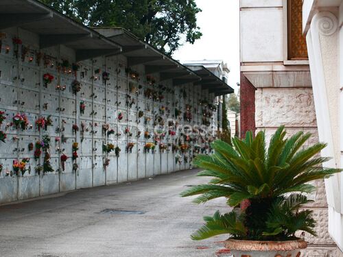 Va al cimitero ma non trova la tomba dei suoi cari. Il Comune l'ha eliminata senza neanche avvertirla
