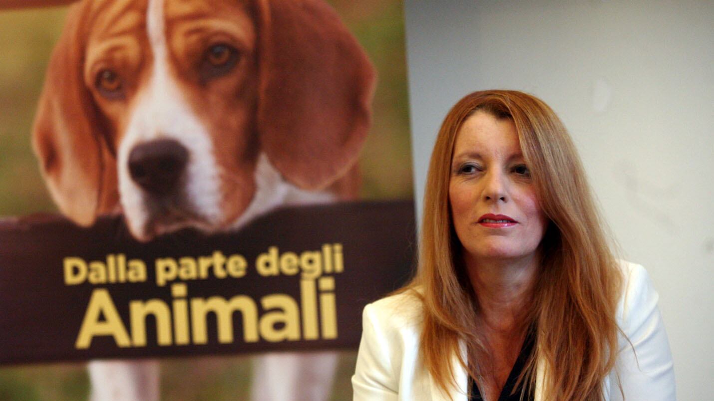 La favola dei nove cuccioli salvati