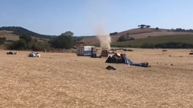 Animali ammazzati: l'orrore dopo il rave della follia