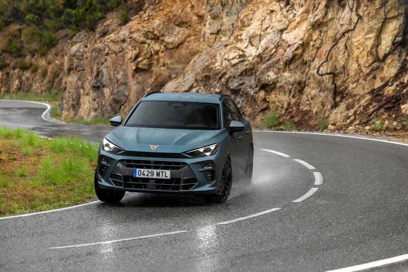 Cupra Terramar: guarda tutte le foto 8