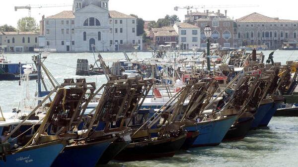 Vongole illegali per un millimetro. I pescatori: "Così l'Ue ci uccide"
