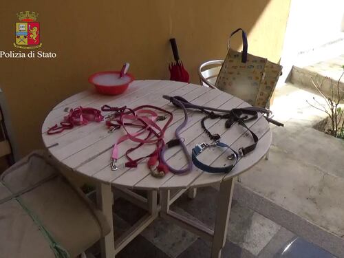 Teneva al guinzaglio e maltrattava la madre