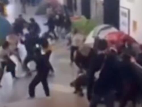 Che ridere i sinistri che si scannano, ritorna la naja e Crosetto: quindi, oggi...