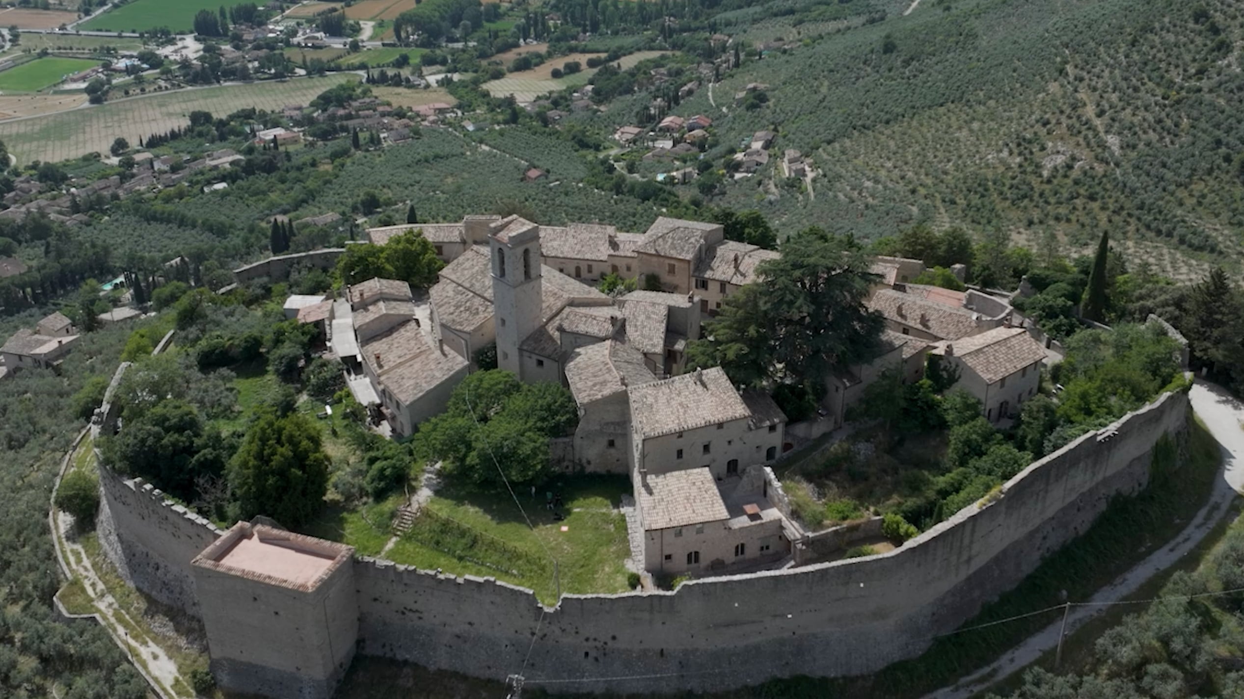 Una start-up innovativa rivaluta la "Fascia olivata Assisi-Spoleto"
