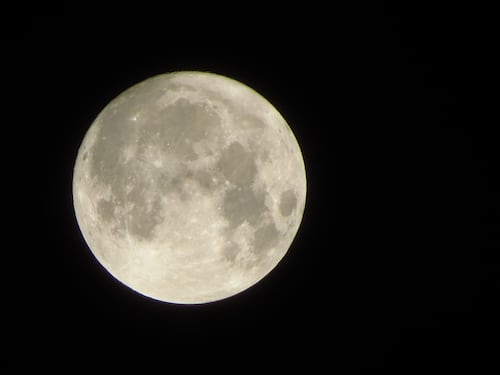 Naso all'insù per la Luna del cervo: uno spettacolo da non perdere