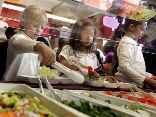 Germania, asili mettono al bando la carne suina per "rispetto verso l'islam"
