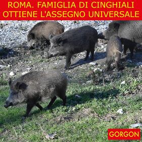 La satira del giorno. Integrazione romana 1