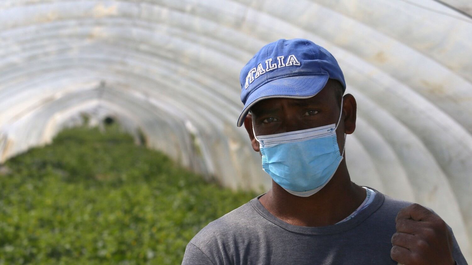 Anche gli scienziati contro la sanatoria dei migranti, ma Conte li snobba