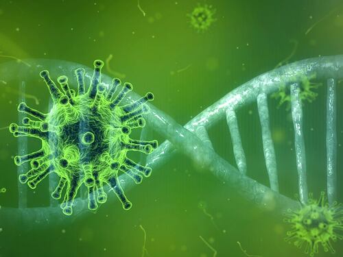 Covid, ecco come una molecola attacca il virus