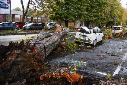 Maltempo Roma, alberi caduti dopo il temporale di ieri 6