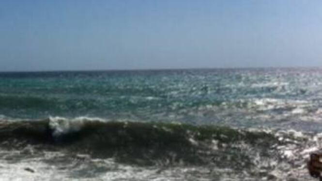 Allarme microplastiche: inquinano le coste adriatiche