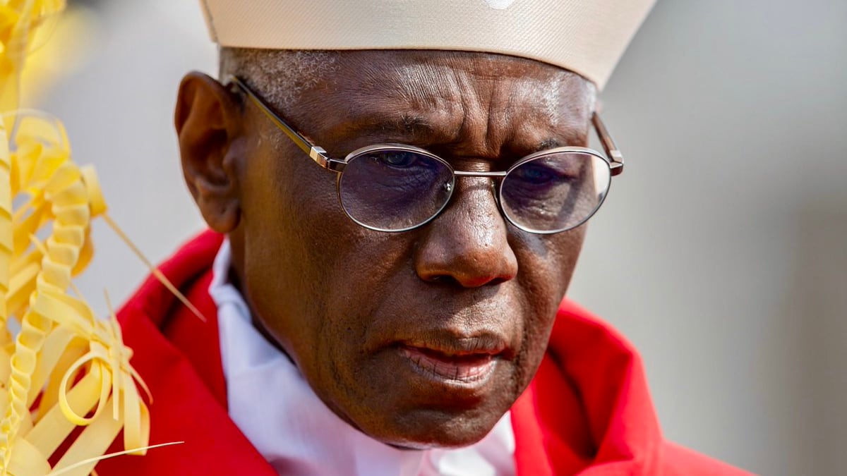 Così il cardinal Sarah è diventato l'incubo dei progressisti