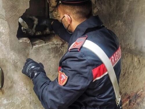 Spaccio in "stile Gomorra": come agiva il marocchino
