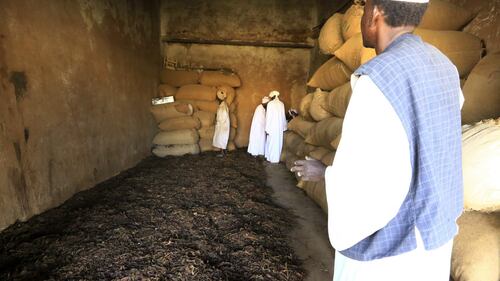 L'industria del tabacco, in Sudan 7
