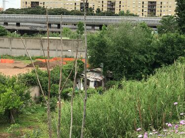 Nascosta dalla vegetazione, ecco la nuova favela rom di via Togliatti 4