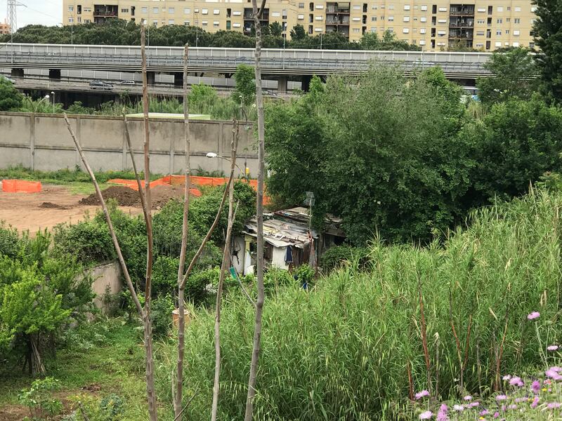 Nascosta dalla vegetazione, ecco la nuova favela rom di via Togliatti 4