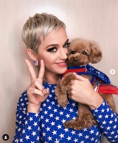 Katy Perry, le foto su Instagram 4