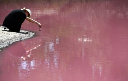 Lago australiano rosa: le foto 3