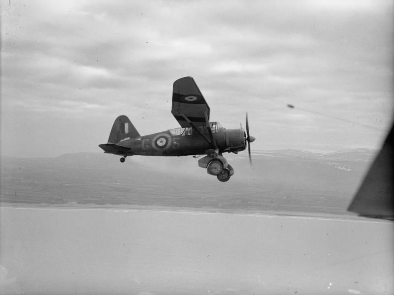 lysander