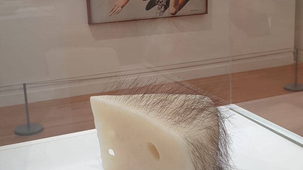 "Tu non capisci l'arte contemporanea"