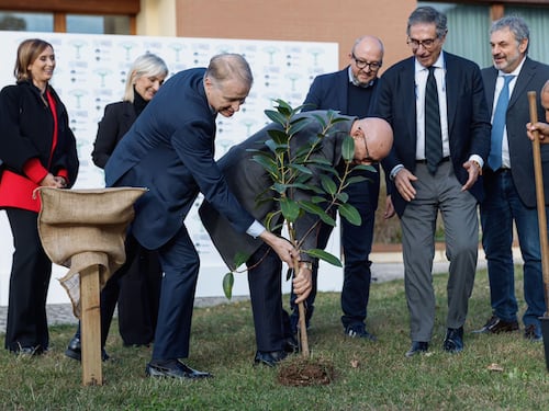 Stati Generali dell'Ambiente e dell'Energia, FdI: "Piantato un albero in memoria di Falcone"