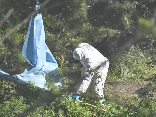Trovato corpo di una donna carbonizzato in zona Eur a Roma