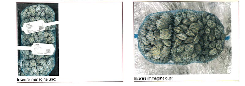 vongole