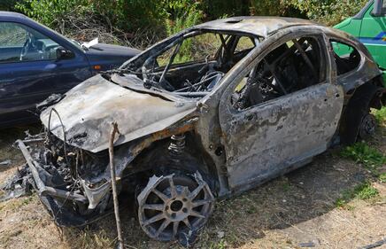 FOTO / Lucca, tragedia al rally: due morti 8