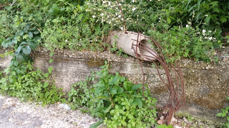 Napoli, l'abbandono di Agnano 6