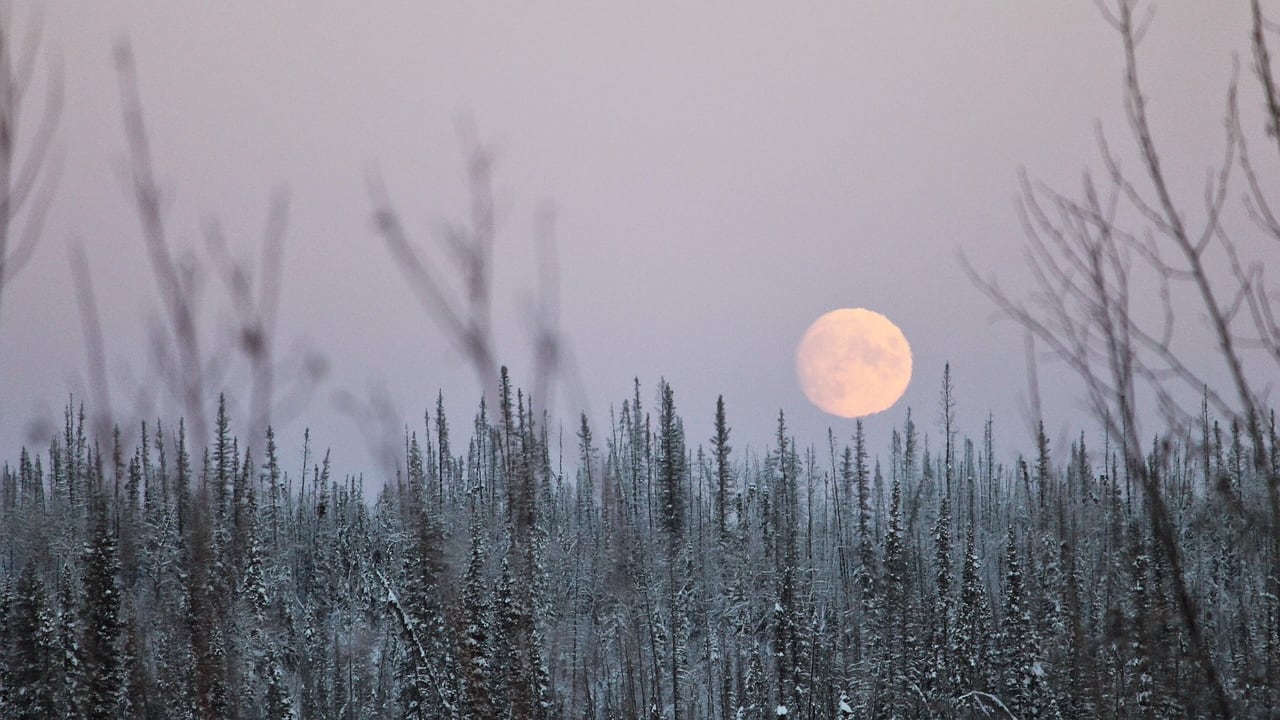 Arriva la Superluna fredda: perché si chiama così e come vederla