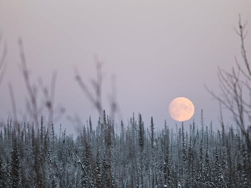 Arriva la Superluna fredda: perché si chiama così e come vederla