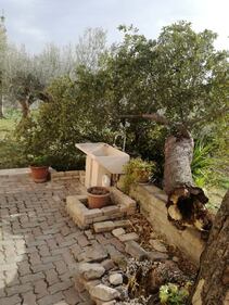 Vento forte a Pescara, albero cade su una macchina 2