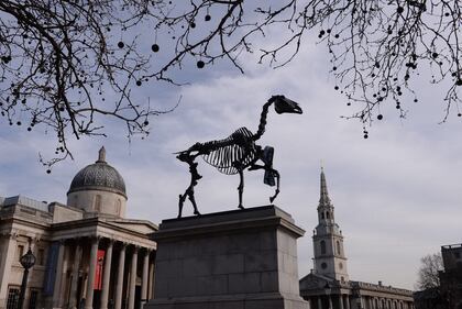 Una nuova statua su Trafalgar Square 6