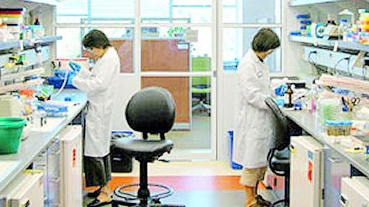 Sclerosi multipla, verso una terapia personalizzata