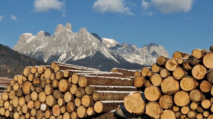 Borsa italiana del legno, siglato il primo contratto