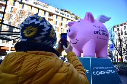 Nuovo anno cinese, in largo la Foppa spunta il maiale gonfiabile 4