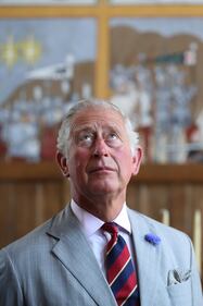 Royal Family, la linea di successione 8