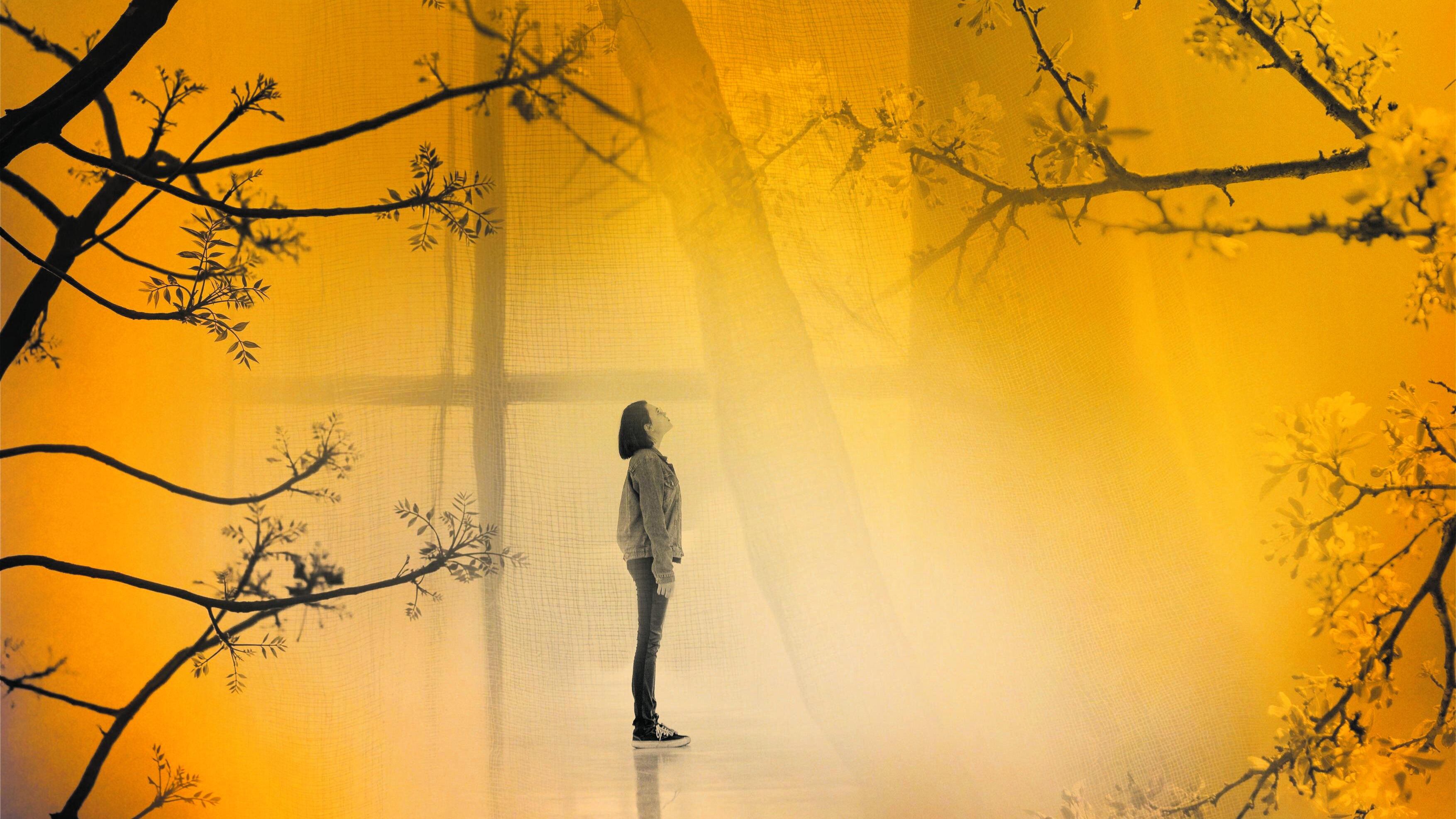 "Soul" va a tutto festival e chiude con grandi nomi