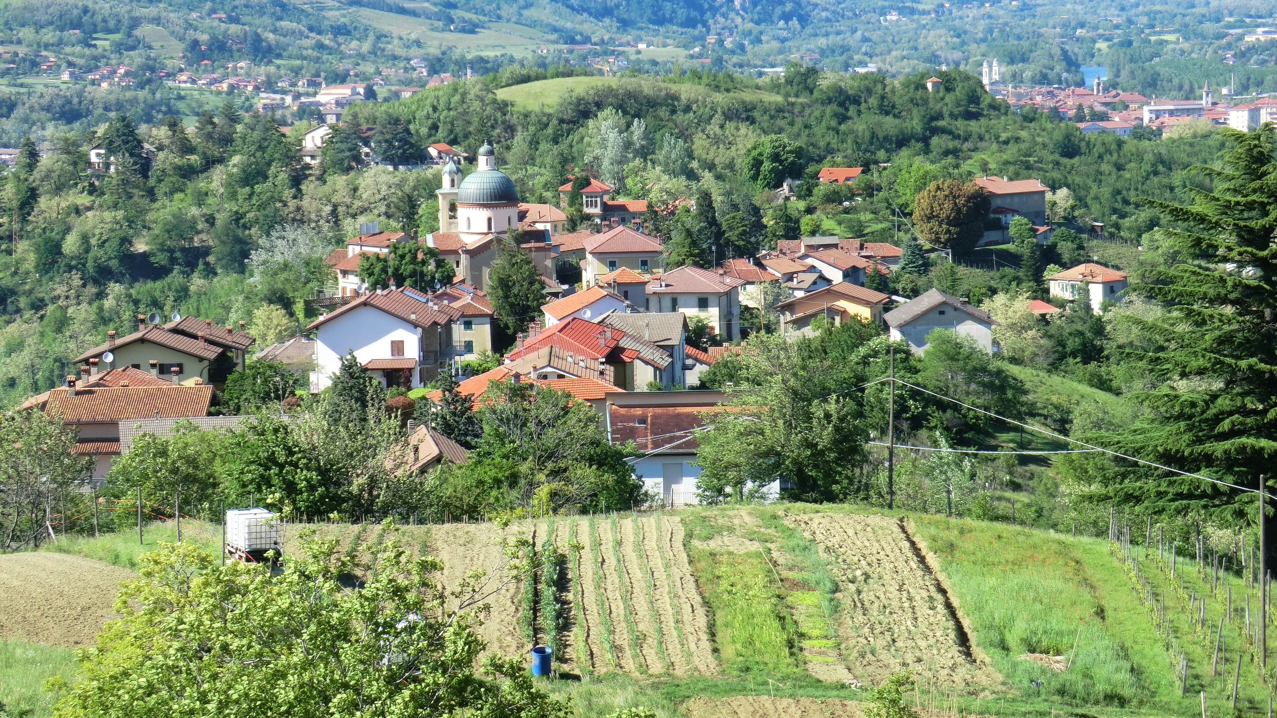 Ovada, verde terra di mezzo che ha inventato il Dolcetto