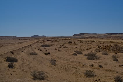 Il viaggio ad El Alamein