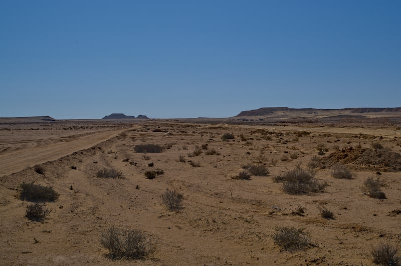 Il viaggio ad El Alamein