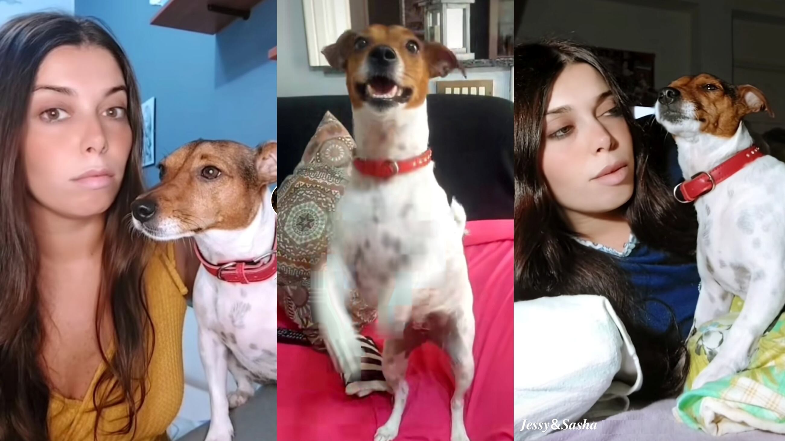 "Fallo al forno con le patate". Così Jessy&Sasha sono diventati fenomeni su TikTok