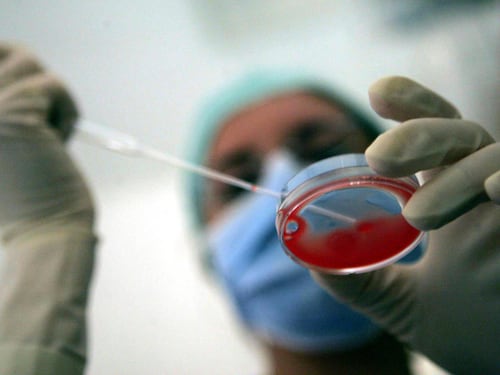 Le Bioscienze rischiano di sfuggire al controllo