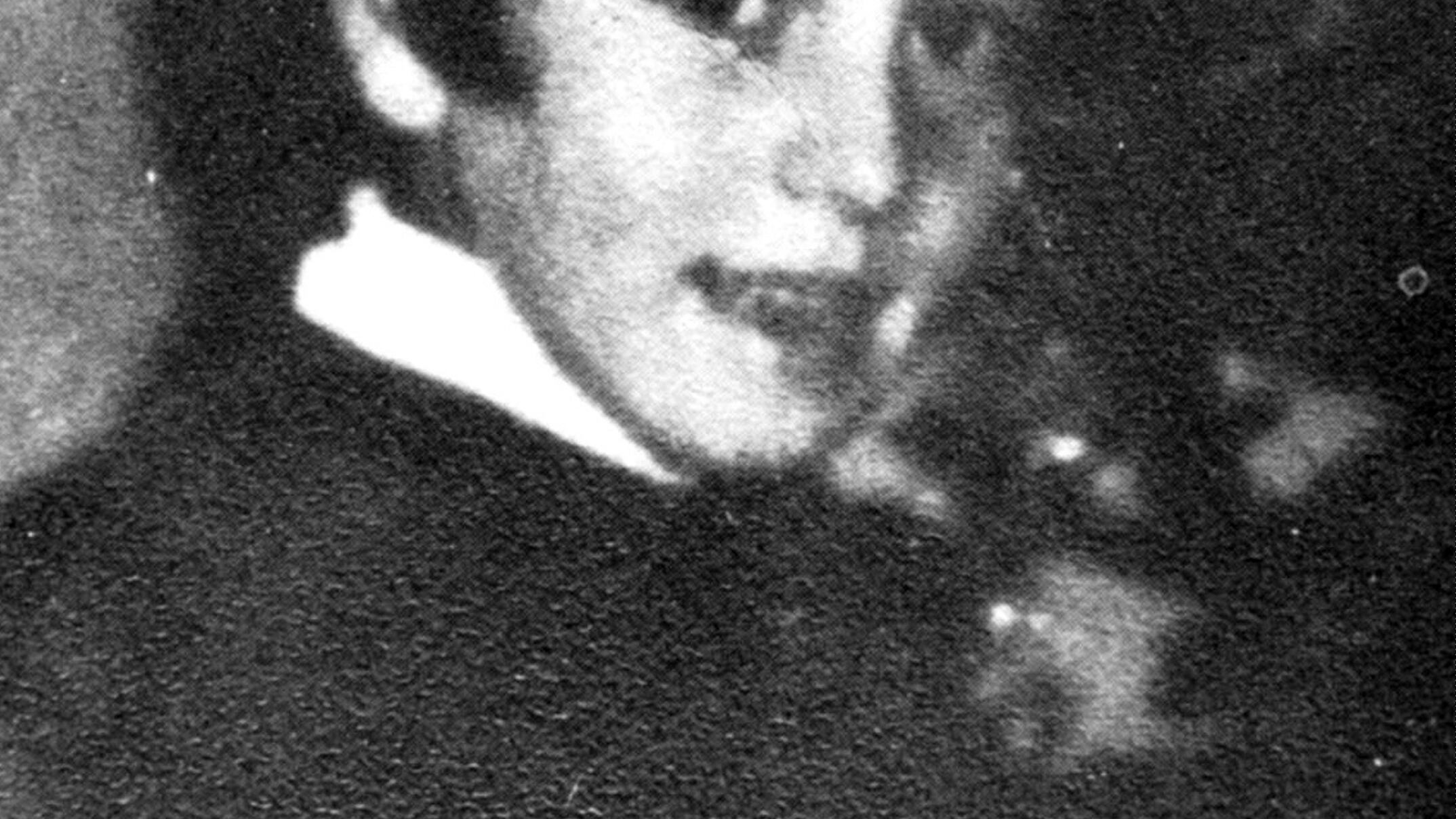 L'ingiustizia infinita del caso Primavalle. La sorella dei ragazzi bruciati deve risarcire