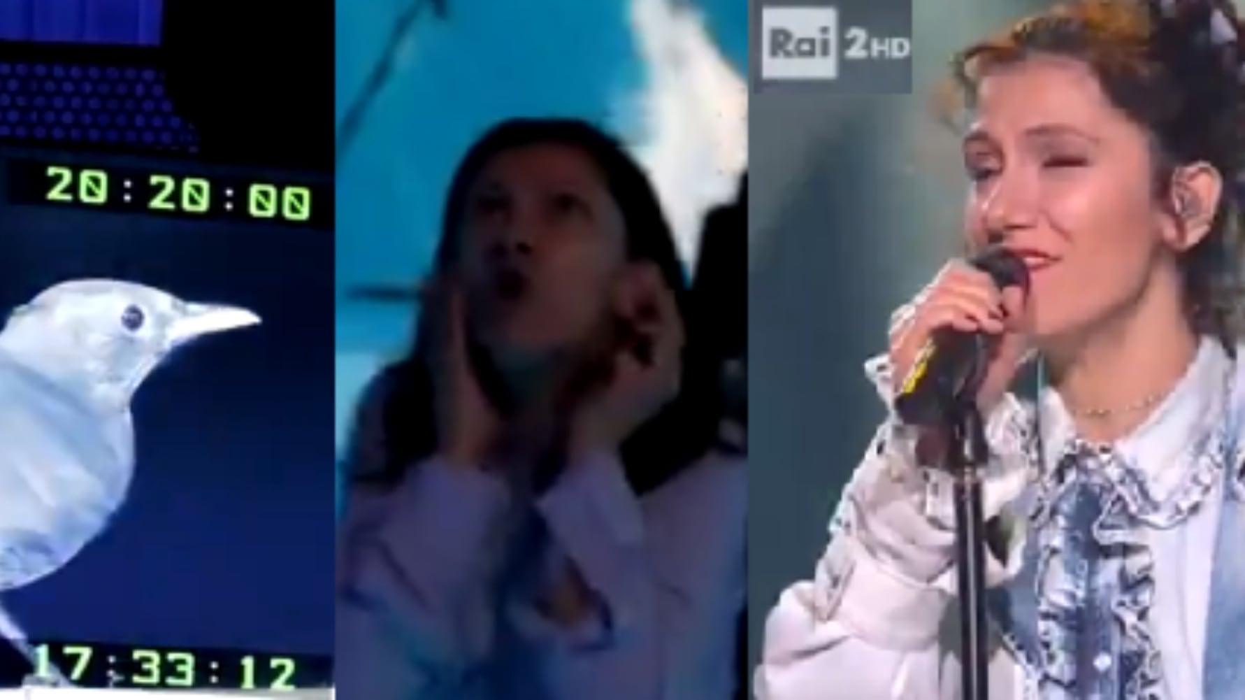 Elisa spaventata da un merlo: l'irruzione a Che tempo che fa